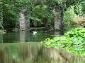2009-0909-1100_Morden_Hall_Park_19C